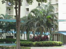 Blk 120 Kim Tian Place (Bukit Merah), HDB 4 Rooms #141592